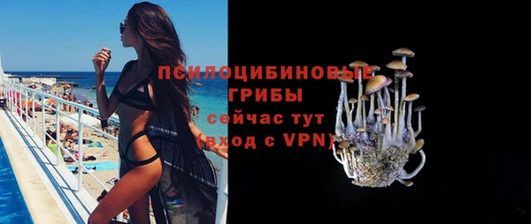 дурь Медногорск