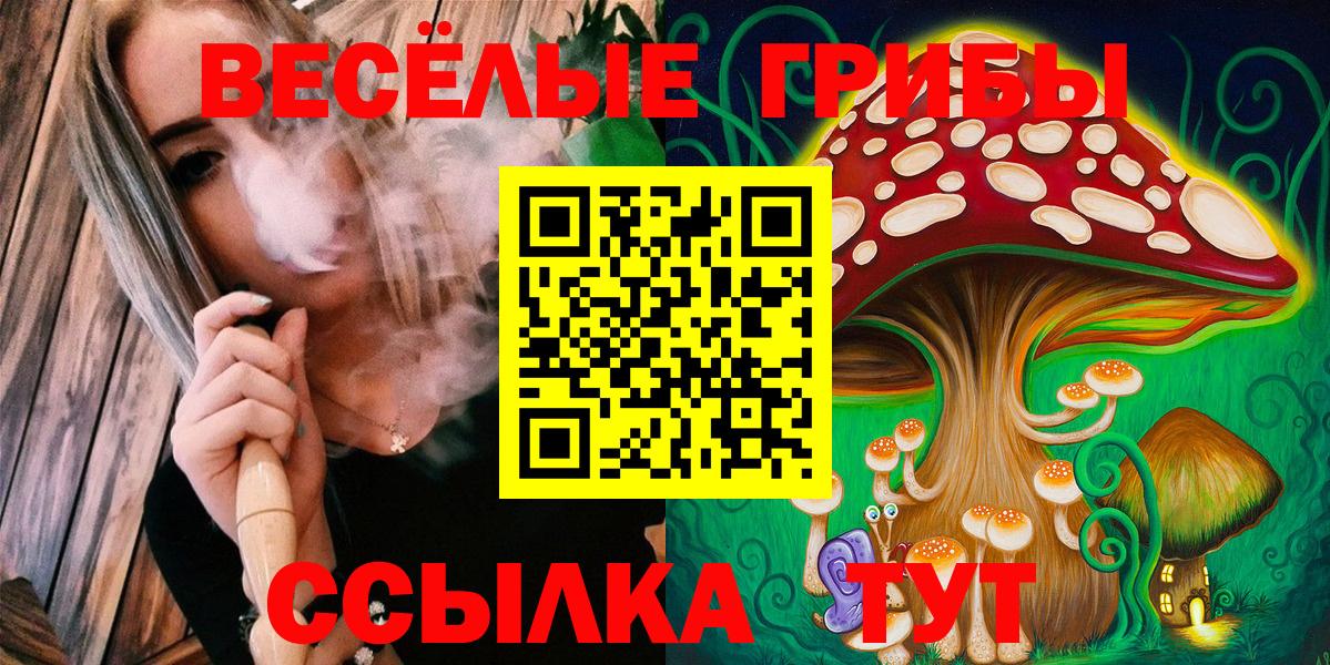 Псилоцибиновые грибы Psilocybe Кызыл