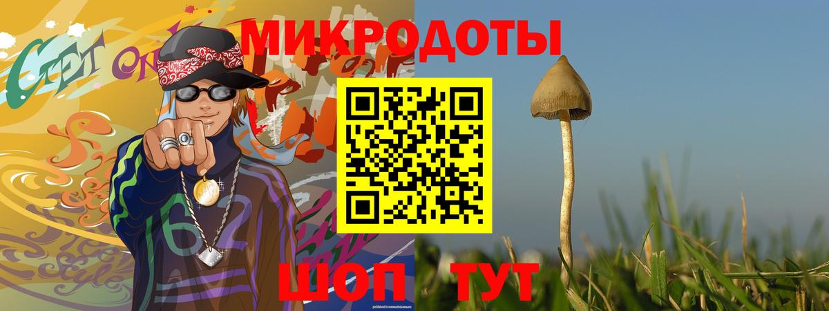 Псилоцибиновые грибы Cubensis  Вход с VPN  Кызыл 