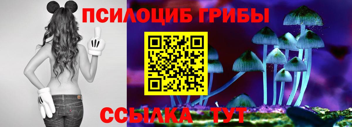 купить   Кызыл  Псилоцибиновые грибы ЛСД 